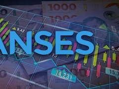 ANSES salió al mercado: con compras hormiga en la Bolsa duplicó su participación en dos empresas