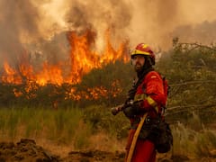 El Gobierno asegura que 2026 es el peor año de incendios: 226.000 hectáreas quemadas, 43 grandes fuegos y más de 1.100 evacuados