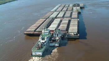 Enero récord y luz roja: la liquidación subió 82% pero se enciende una advertencia