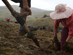 El Gobierno confirmó una ayuda de 100 millones para el campo: quiénes serán los beneficiados