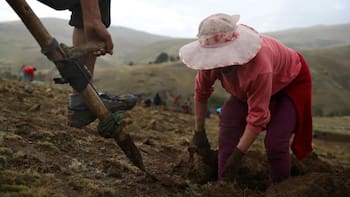El Gobierno confirmó una ayuda de 100 millones para el campo: quiénes serán los beneficiados