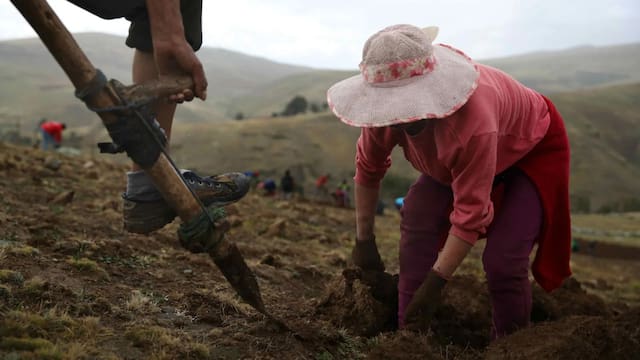 El Gobierno confirmó una ayuda de 100 millones para el campo: quiénes serán los beneficiados