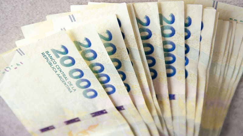 El Gobierno da la mejor noticia y pagará un bono extra de $ 1.200.000 a todas estas personas: es adicional al aguinaldo y solo se necesita un requisito
Fuente: Shutterstock