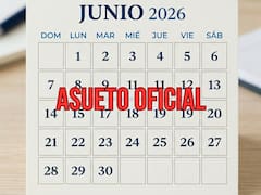 Oficial | El Gobierno decretó asueto para el jueves 18 y el miércoles 24 de junio: no habrá clases y los trabajadores tendrán home office
