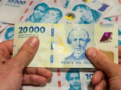 Es oficial: el Gobierno pagará un mini bono a estos trabajadores, ¿quiénes lo cobran?