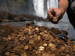 Descubrimiento del siglo | Sacan miles de monedas y lingotes del oro más preciado en una provincia de Sudamérica