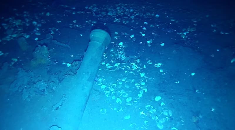 El operativo incluyó cañones, cerámicas, monedas y fragmentos del naufragio de 1708.