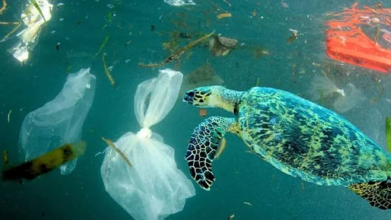 Construyen la aspiradora más grande del mundo: podría limpiar todo el plástico del océano y evitar la crisis más grande de la historia (Fuente: Archivo)