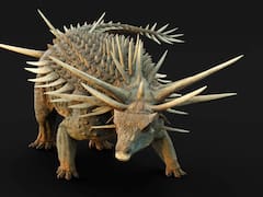 El hallazgo del siglo: descubren un dinosauro con “armadura de espinas” que vivió hace 165 millones de años