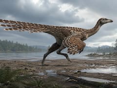 El hallazgo del siglo reescribe la evolución: descubren un dinosaurio con cuatro alas y una cola de 16 plumas gigantes
