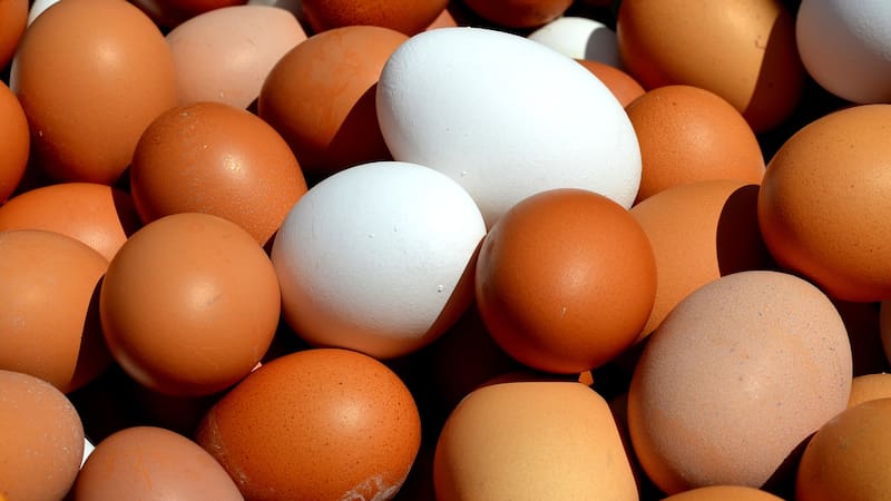 El huevo es un alimento versátil, delicioso y saludable, pero hay una forma de prepararlo para aprovechar todos sus nutrientes.