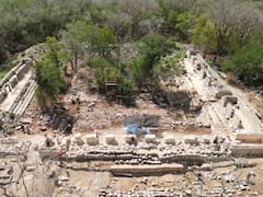 Arqueólogos descubren en Yucatán un campamento maya donde se cocinaban caracoles y se fabricaban utensilios hace cientos de años