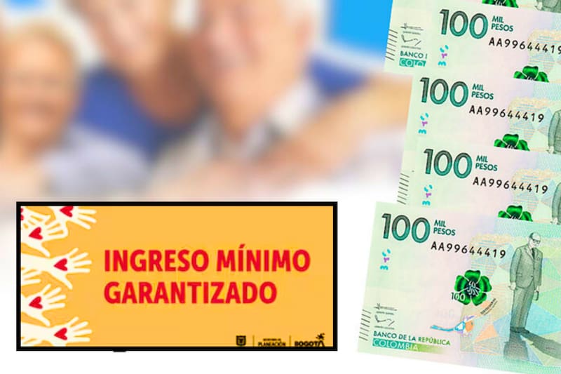 Ingreso Mínimo Garantizado 2025: cómo consultar su liquidación con cédula antes de que termine el año. (Imagen: archivo)