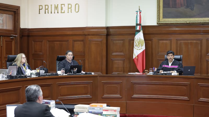 El máximo tribunal dictó un fallo histórico que prohíbe la suspensión del pago de alimentos a los menores de edad.