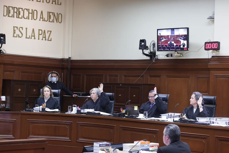 El máximo tribunal dictó un fallo histórico que prohíbe la suspensión del pago de alimentos a los menores de edad.