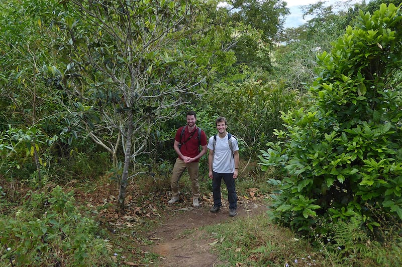 El mismo lugar en el mismo sendero cinco años después, con los árboles plantados en crecimiento.