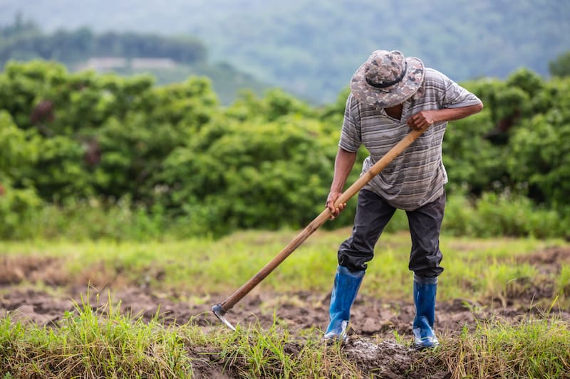 El motivo por el que el agricultor no puede expandir sus viviendas. (Fuente: archivo)