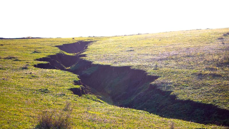 El mundo se está partiendo en dos: nace un nuevo continente y el planeta ya no será como lo conocemos
Fuente: Shutterstock