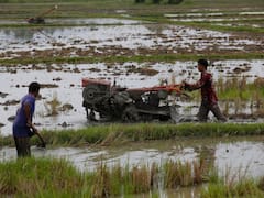 “Sin precedentes”: especialistas hacen un llamado de emergencia por la intensidad de El Niño