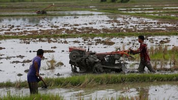 “Sin precedentes”: especialistas hacen un llamado de emergencia por la intensidad de El Niño