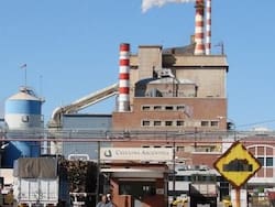 La ‘nueva Celulosa’ arrancó con pérdidas de más de $ 100.000 millones
