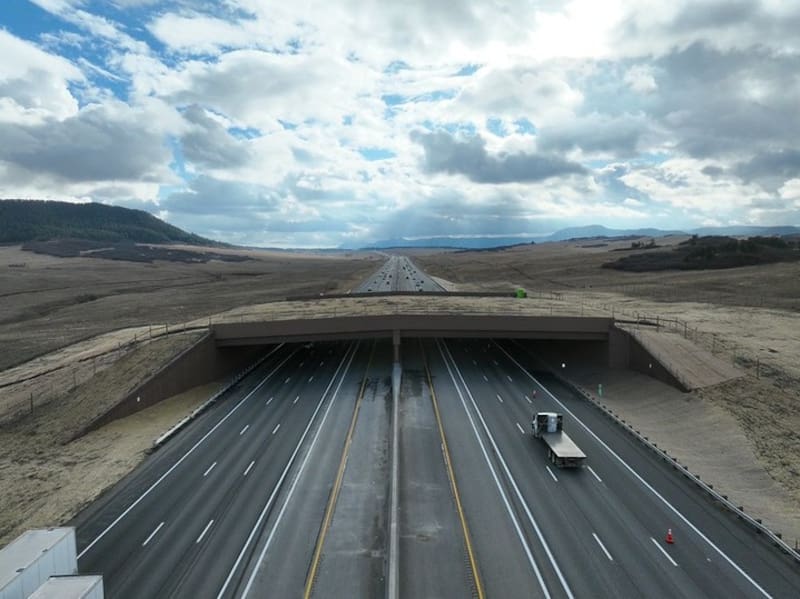 El nuevo paso elevado de vida silvestre de Groenlandia