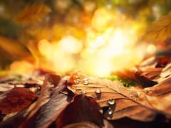 Primavera total en España | El giro del planeta que cambia todo hoy y alarga los días desde este instante