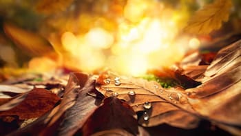 Primavera total en España | El giro del planeta que cambia todo hoy y alarga los días desde este instante