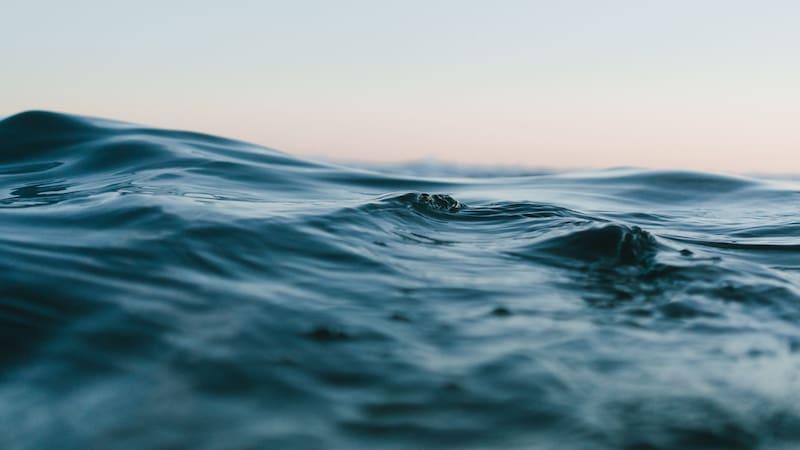 El pacto que cambiará los océanos: un acuerdo global redefinirá las reglas en alta mar