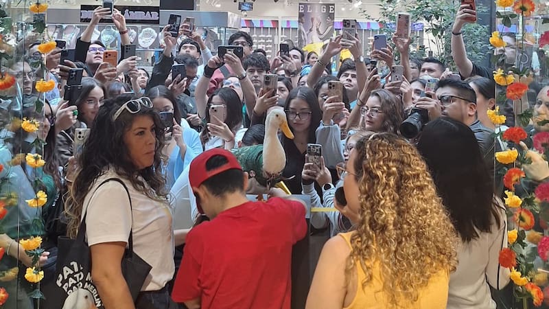 El pato Merlín y su familia en la inauguración de la tienda 44 de Panam | (Foto: El Cronista)