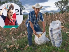 El Gobierno de México confirmó que le quitará la beca a las personas que no hagan este trámite urgente: aplicará desde enero del 2026