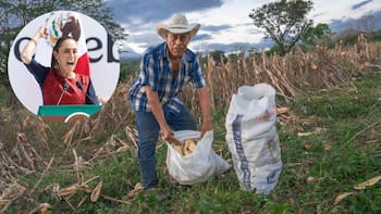 El Gobierno de México confirmó que le quitará la beca a las personas que no hagan este trámite urgente: aplicará desde enero del 2026