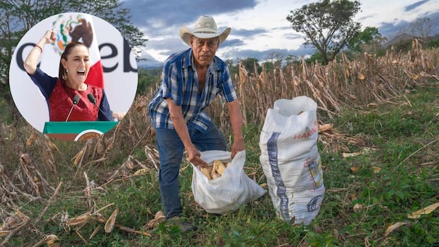 El Gobierno de México confirmó que le quitará la beca a las personas que no hagan este trámite urgente: aplicará desde enero del 2026