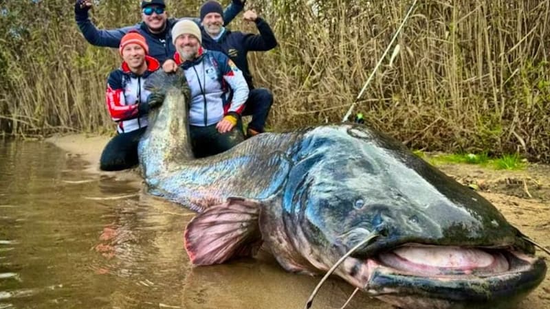El momento en que la familia polaca encontró el enorme pez