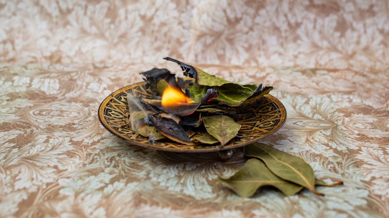El poderoso ritual del laurel para atraer la abundancia, purificar el hogar y despedirse de las malas energías
Fuente: Archivo