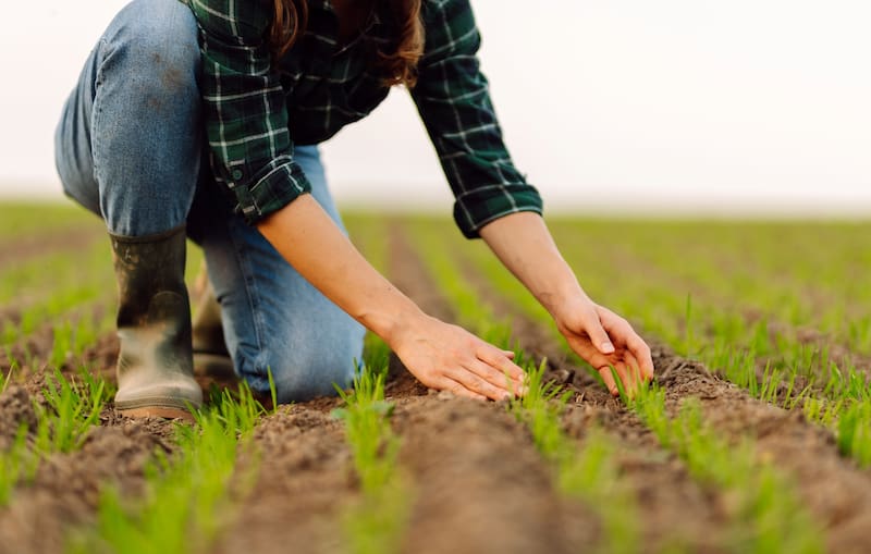 El problema del campo y el relevo generacional.