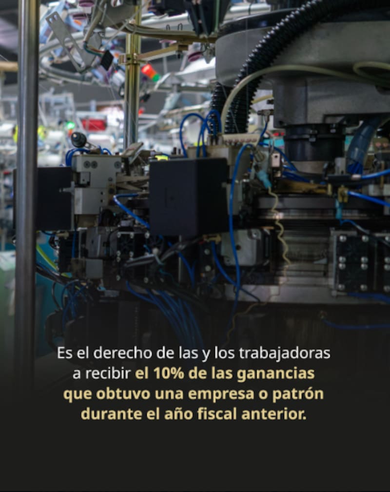 El reparto de utilidades es un derecho constitucional en México. Conoce cuándo debes recibir tu PTU en 2026 y qué hacer si tu empresa no cumple con el pago. Fuente: Secretaría del Trabajo y Previsión Social