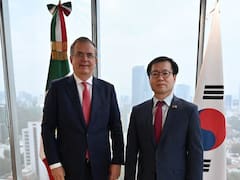 México y Corea del Sur: El nuevo eje estratégico para diversificar el comercio frente a la revisión del T-MEC