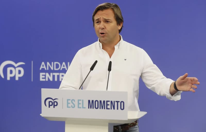 El secretario general del PP andaluz, Antonio Repullo.