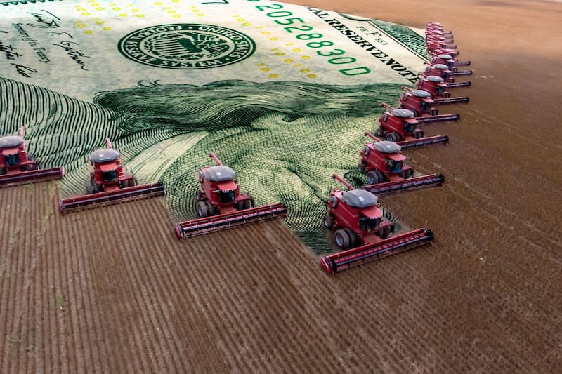 El sector agropecuario habría sido uno de los sectores que más contribuyó a la mejora de la actividad en junio