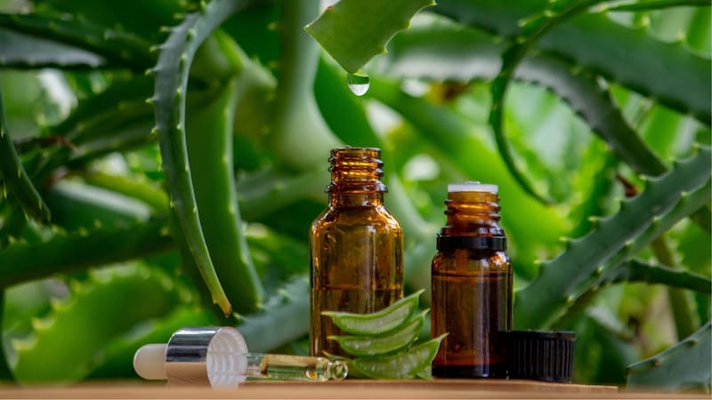 El shampoo anticaspa casero que protege el pelo, lo deja brillante y potencia el color
Fuente: Shutterstock