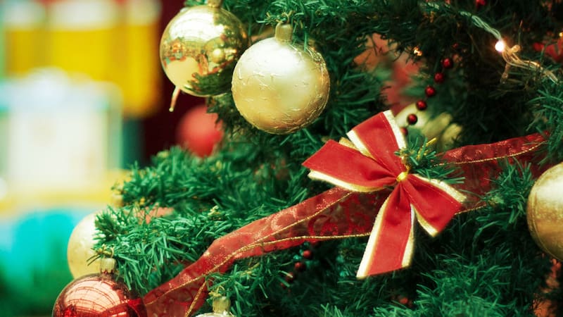 El supermercado más popular liquida arbolitos de Navidad a $14.000 y tiene luces y adornos en oferta: dónde conseguirlos
Fuente: Shutterstock