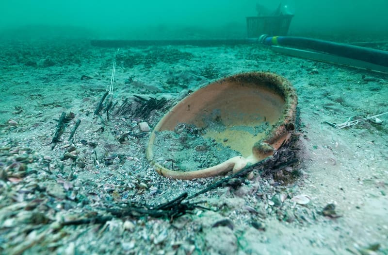 Vajilla de mesa: platos, fuentes, copas y cuencos