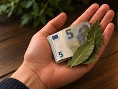 Llevar un billete de cinco euros envuelto en una hoja de laurel: para qué sirve y por qué lo recomiendan