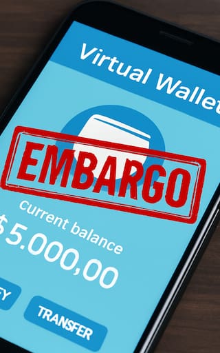 Ya está confirmado | El Gobierno incautará todas las billeteras virtuales de las personas que figuren en esta base de datos