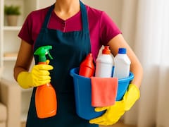 Confirman aumento para las empleadas domésticas de todo el país: desde enero cobrarán 9,582 pesos al mes