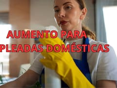 Confirmado y oficial: las empleadas domésticas tendrán aumento escalonado hasta julio