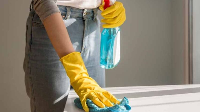 Empleadas domésticas: de cuánto sería el período de prueba según la reforma laboral
Fuente: Archivo