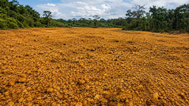 En 1997, una empresa cubrió un páramo con 12.000 toneladas de cáscaras de naranja. 16 años después, el paisaje se transformó por completo y los científicos no pueden creerlo