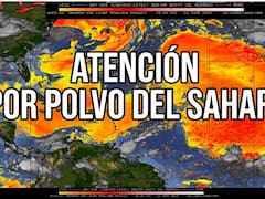 Anticipo | En julio llega el fenómeno de El Niño y oleadas de Polvo del Sahara